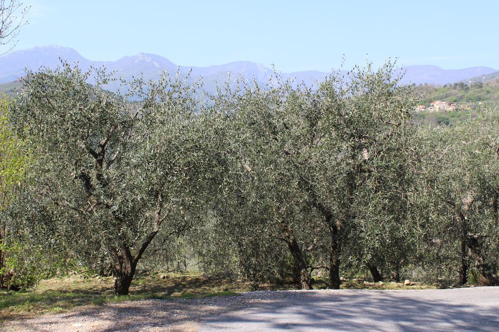 Room & Bike Shuttle Tour Finale Ligure Exterior foto